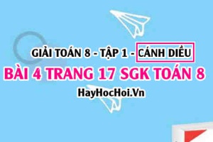 Giải bài 4 trang 17 Toán 8 Tập 1 SGK Cánh Diều
